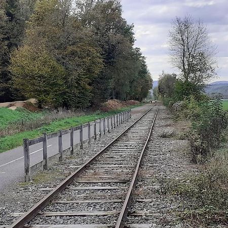 A L'Oree Du Bois "Les Hetres" Guewenheim Buitenkant foto