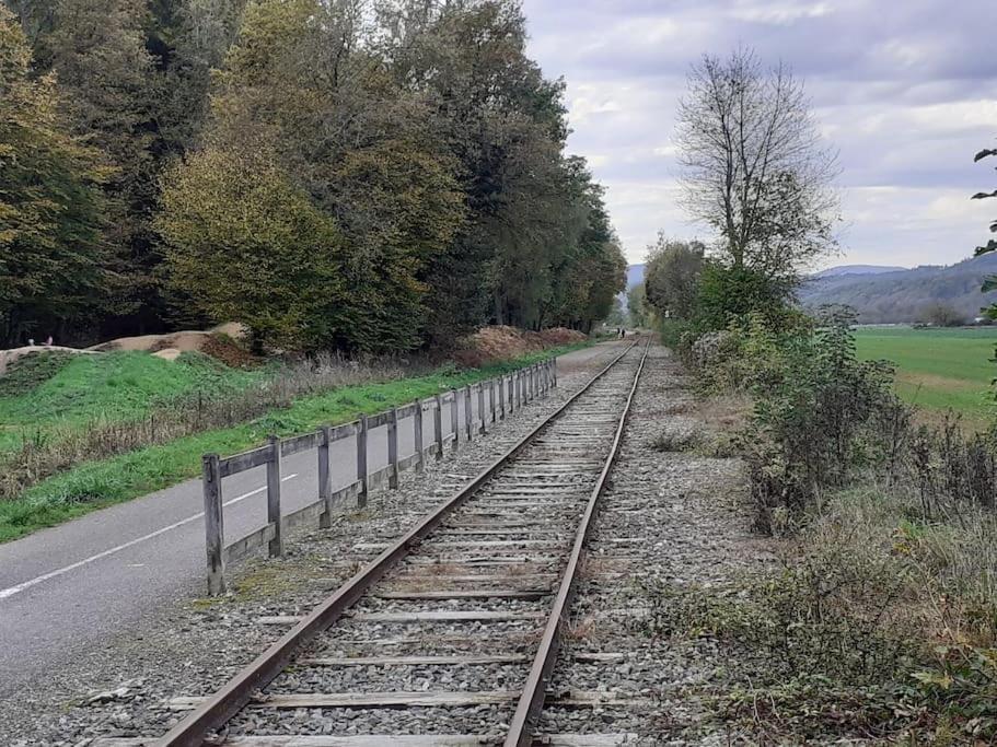 A L'Oree Du Bois "Les Hetres" Guewenheim Buitenkant foto