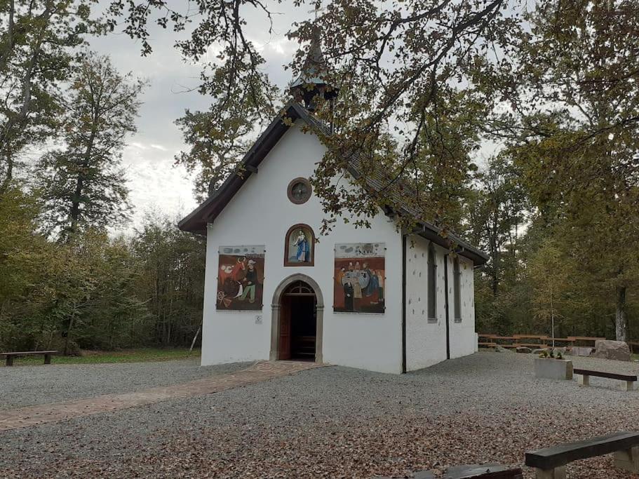 A L'Oree Du Bois "Les Hetres" Guewenheim Buitenkant foto